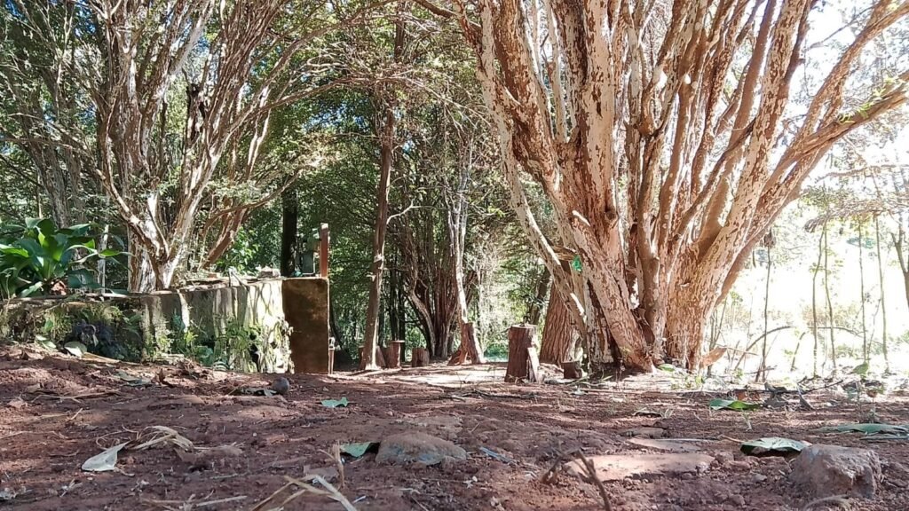 Imagem-do-WhatsApp-de-2025-07-31-as-18.01.53_ffc04d4e Imagem Do WhatsApp De 2025 07 31 As 18.01.53 Ffc04d4e 1 1024x576