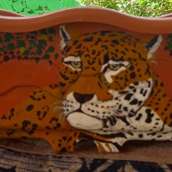 257683328 842375219766793 4377436639876926608 n