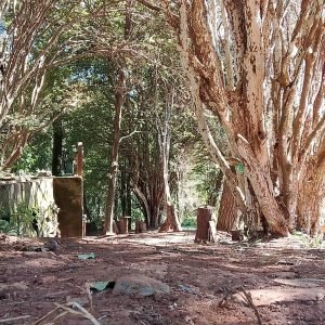 Cantinhos Imagem-do-WhatsApp-de-2025-07-31-as-18.01.53_ffc04d4e