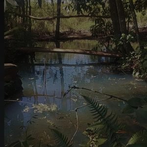 Cantinhos reserva para acampamento