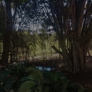 Cantinhos reserva para acampamento