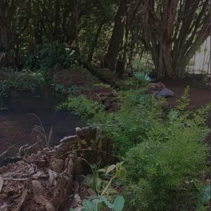 Cantinhos reserva para acampamento