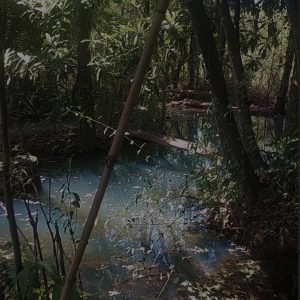 Cantinhos reserva para acampamento